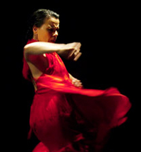 Juliana Pulford - Ottawa Flamenco Studio Previous Workshops